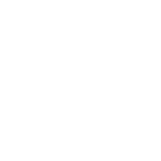 iSunOne system helps you Send and receive payments globally